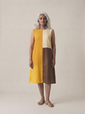 Dune Color Block Dress