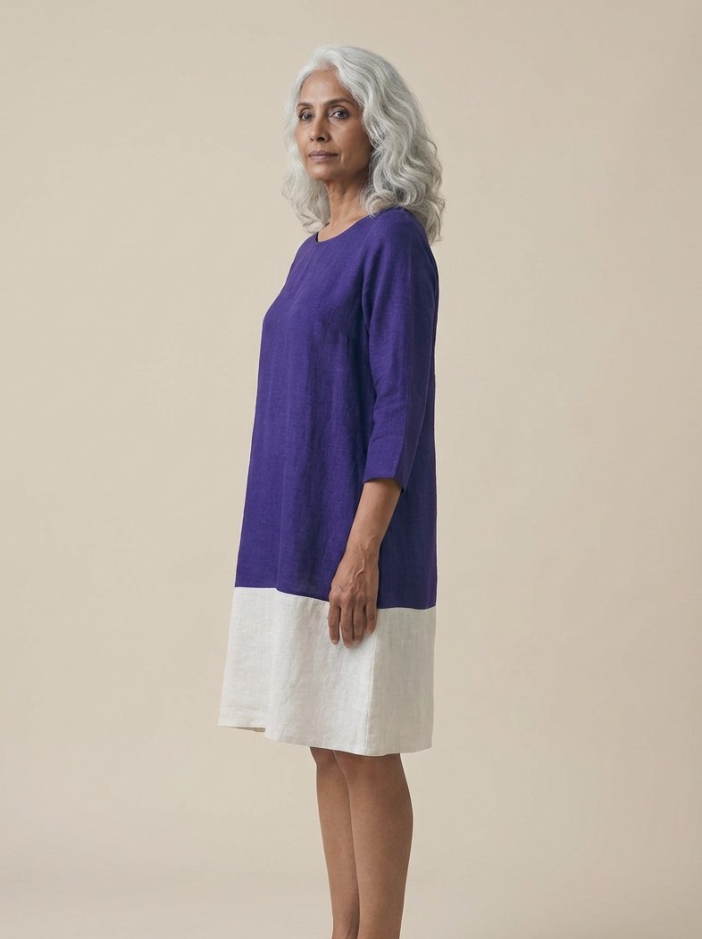 Jamun Color Block Dress