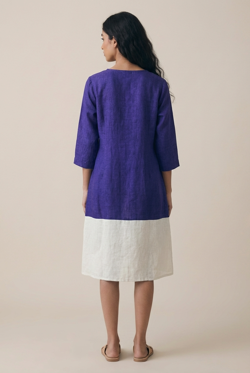 Jamun Color Block Dress
