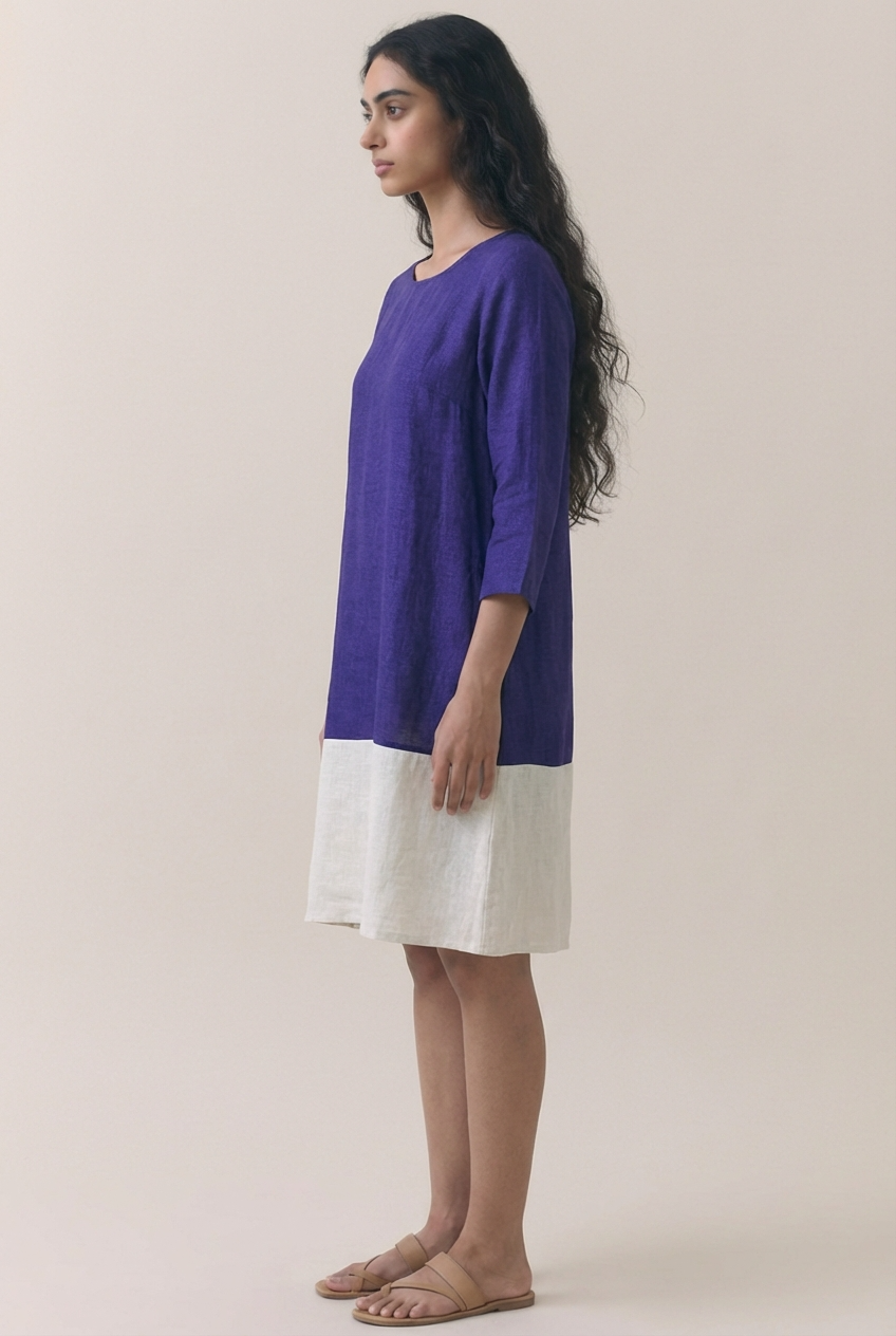 Jamun Color Block Dress